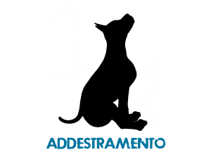 addestramento cani Ravenna