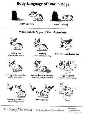 Body language of fear in dogs