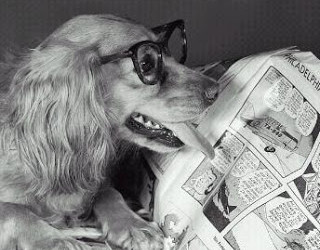 Il cane da pastore e la pecora: Intelligenza o stupidità?