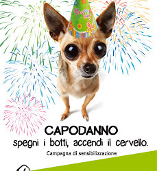Se il mio cane ha paura dei botti come posso aiutarlo?