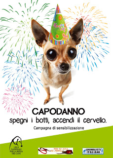 Se il mio cane ha paura dei botti come posso aiutarlo?