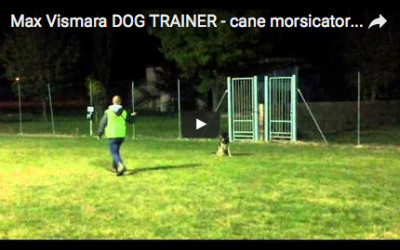 Cane morsicatore (ex)