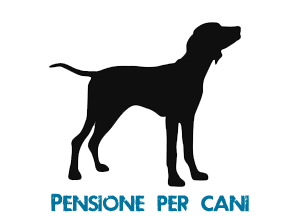 Pensione per cani Max Vismara